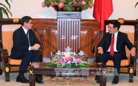 越南政府副总理兼外长范平明会见老挝和新加坡驻越大使 ảnh 2