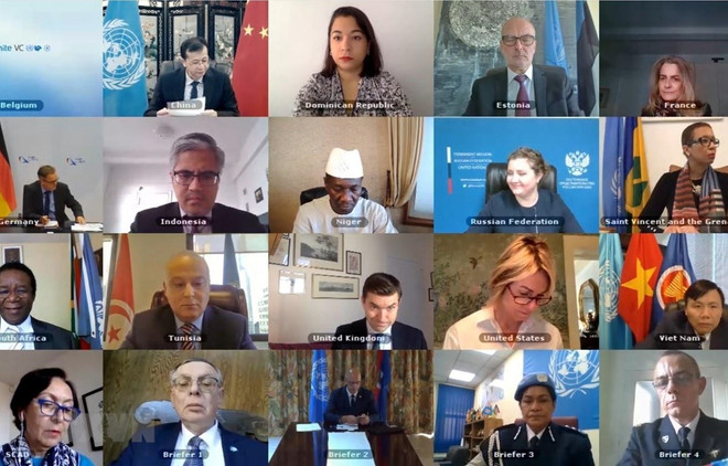 越南和联合国安理会：越南强调全面落实《禁止化学武器公约》的重要性 ảnh 1