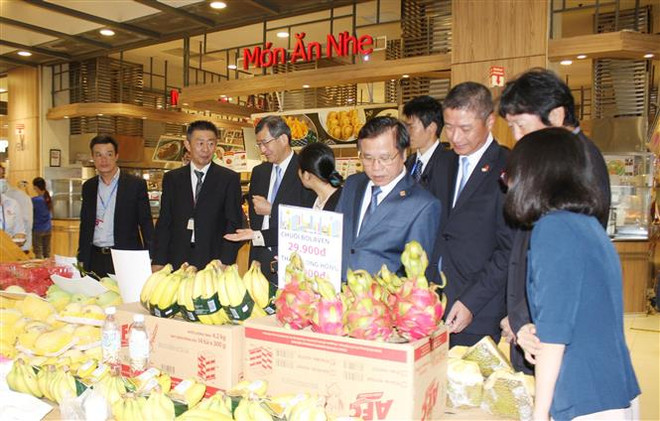 通过永旺全球分销系统促进越南产品出口和销售 ảnh 1 通过永旺全球分销系统促进越南产品出口和销售 ảnh 1