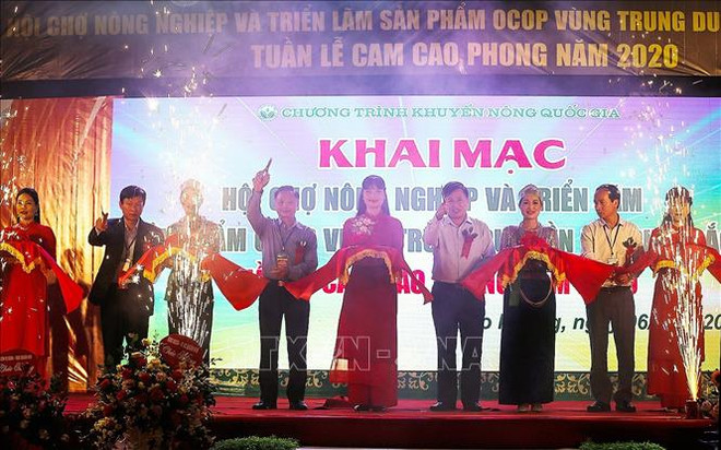 和平省高峰橙子周启动 ảnh 1 和平省高峰橙子周启动 ảnh 1