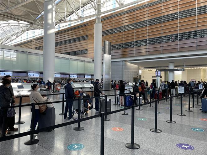 新冠肺炎疫情：将在美国和日本滞留的近360名越南公民安全接回国 ảnh 1