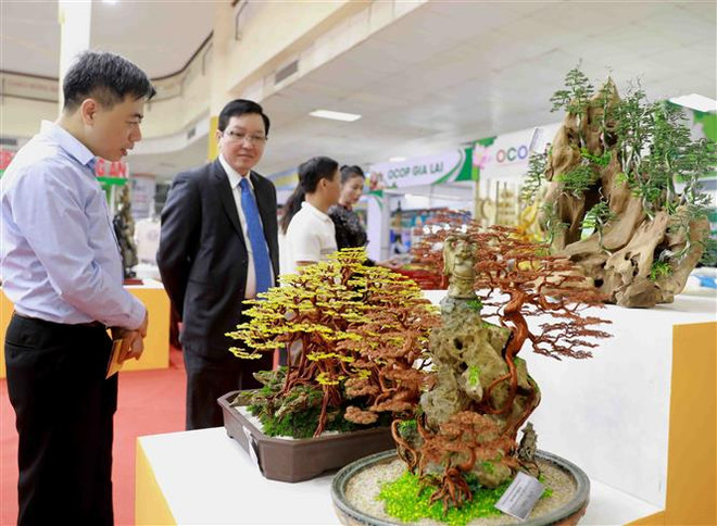 分享参加2020年河内“一乡一品”、农业贸易促进展销会的经验 ảnh 1 分享参加2020年河内“一乡一品”、农业贸易促进展销会的经验 ảnh 1