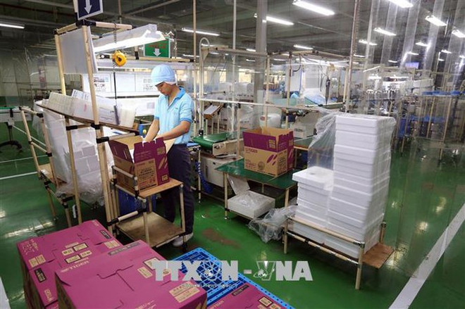 越南同奈省超额完成2020年招商引资计划 ảnh 1 越南同奈省超额完成2020年招商引资计划 ảnh 1