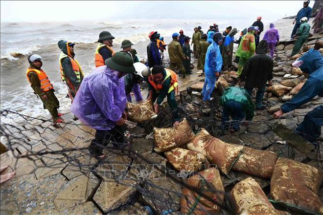 越南各地继续向灾民开展灾后重建工作提供援助 ảnh 2 越南各地继续向灾民开展灾后重建工作提供援助 ảnh 2