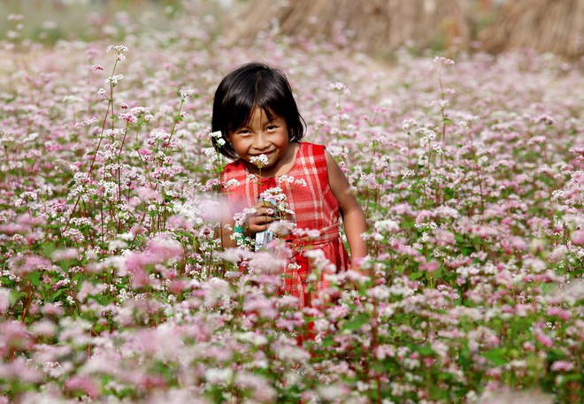 游览河江省的游客量猛增 ảnh 2 游览河江省的游客量猛增 ảnh 2