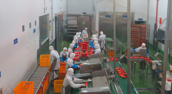 越南企业深入了解EVFTA以充分利用其带来的机会 ảnh 1 越南企业深入了解EVFTA以充分利用其带来的机会 ảnh 1