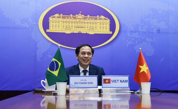 第7次越巴外交部副部长级政治磋商以视频方式举行 ảnh 1 第7次越巴外交部副部长级政治磋商以视频方式举行 ảnh 1