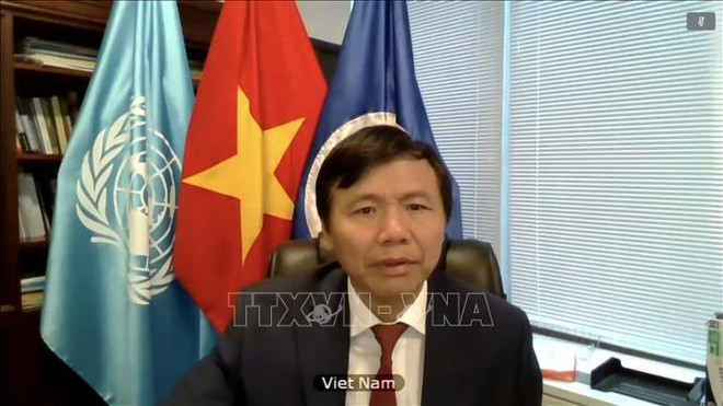 越南与联合国安理会：越南再次强调对联合国维和行动的支持 ảnh 1