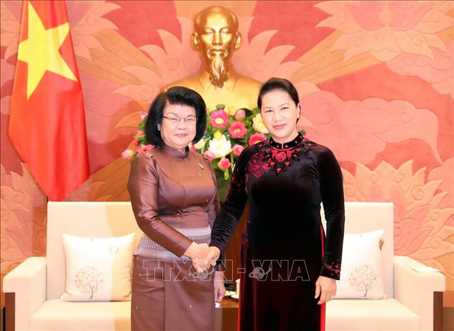 越南国会将同柬埔寨国会携手共促两国政府和人民的合作 ảnh 1