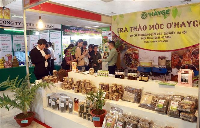 越南第一届全国传统医药材料和医药产品展在河内开展 ảnh 2 越南第一届全国传统医药材料和医药产品展在河内开展 ảnh 2