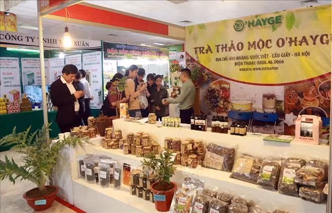 越南第一届全国传统医药材料和医药产品展在河内开展 ảnh 2