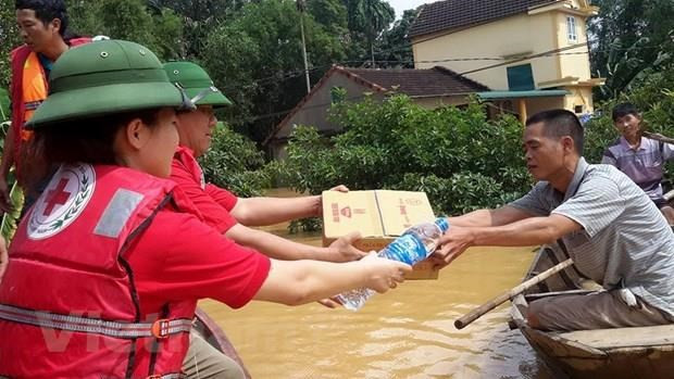 越南与中国红十字会加强合作提高人道主义救助工作效益 ảnh 1