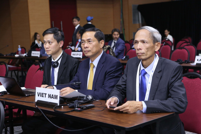 越南外交部副部长裴青山：南南合作应促进加强团结和发展中国家的共同利益 ảnh 2