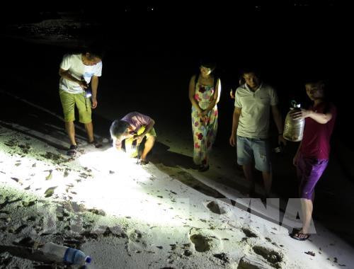 夜间捕蟹—李山岛的有趣旅游体验 ảnh 1