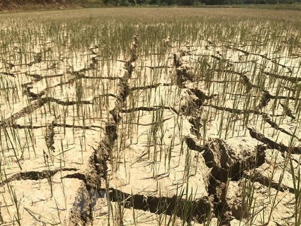 政府总理要求各部门和地方开展应急措施 应对中部晴热高温天气 ảnh 1 政府总理要求各部门和地方开展应急措施 应对中部晴热高温天气 ảnh 1