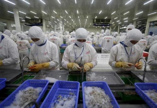 提高出口虾类的产量 ảnh 1 提高出口虾类的产量 ảnh 1