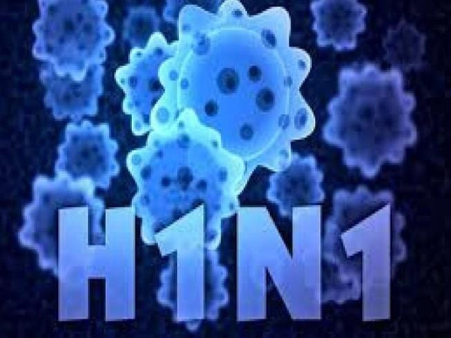 缅甸年初以来甲型H1N1流感致死71人 ảnh 2 缅甸年初以来甲型H1N1流感致死71人 ảnh 2