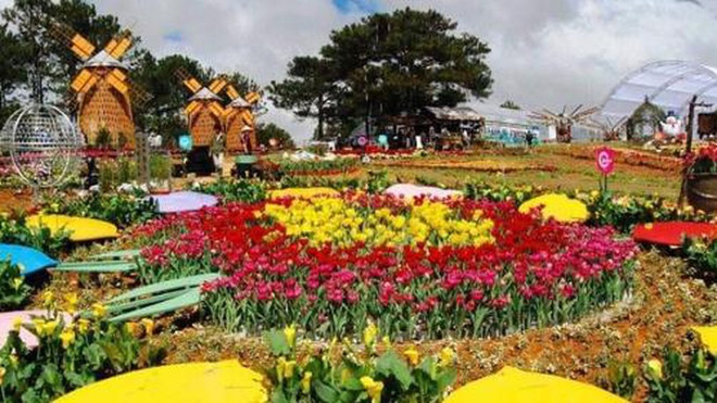 2019年大叻花卉节将于12月20日至24日举行 ảnh 1 2019年大叻花卉节将于12月20日至24日举行 ảnh 1