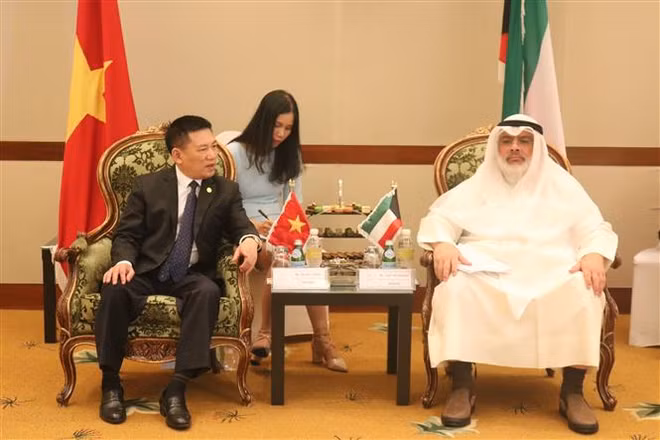 越南国家审计署努力加强国际合作 ảnh 2 越南国家审计署努力加强国际合作 ảnh 2