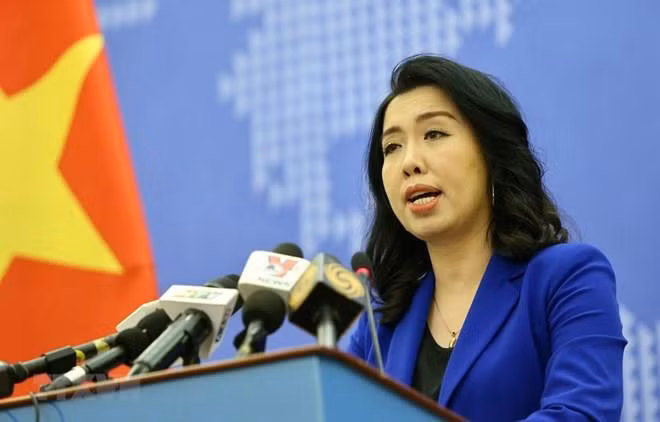 越南外交部发言人：越南将海洋垃圾视为紧迫的全球性问题 ảnh 1