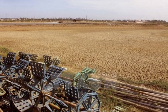 九龙江平原各省市加大抗旱和防治海水入侵工作力度 ảnh 1