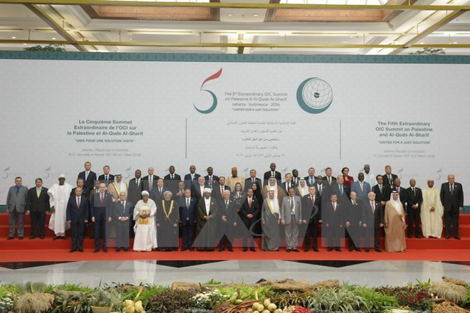 伊斯兰合作组织峰会印尼雅加达举行 ảnh 1 伊斯兰合作组织峰会印尼雅加达举行 ảnh 1