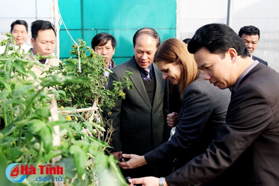以色列与越南河静省加强合作关系 ảnh 1 以色列与越南河静省加强合作关系 ảnh 1