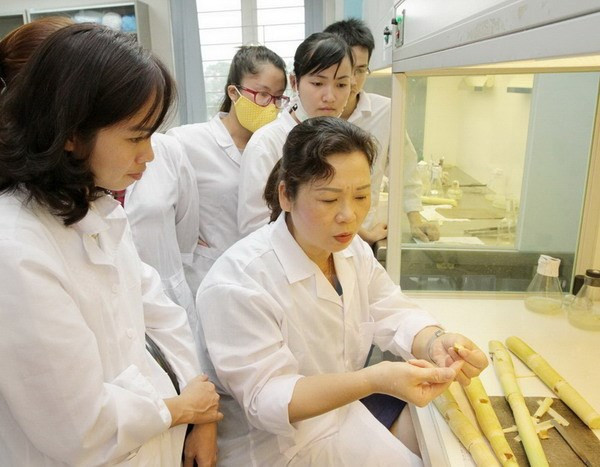 “三八”国际妇女节:充分发挥妇女在社会和家庭的作用 ảnh 1 “三八”国际妇女节:充分发挥妇女在社会和家庭的作用 ảnh 1