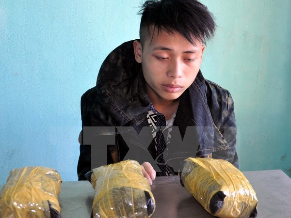 广宁和清化两省职能力量逮捕毒品犯罪嫌疑人 ảnh 1 广宁和清化两省职能力量逮捕毒品犯罪嫌疑人 ảnh 1