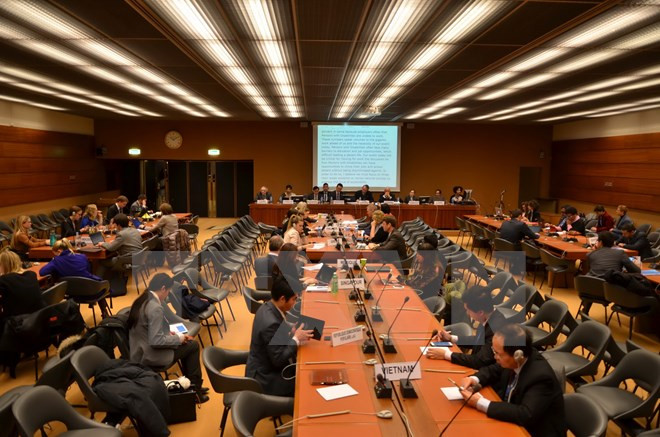 何金玉副外长:越南一直竭尽全力保障残疾人的权利 ảnh 1 何金玉副外长:越南一直竭尽全力保障残疾人的权利 ảnh 1