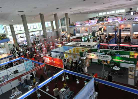 河内市将向赴国外参展企业提供援助 ảnh 1