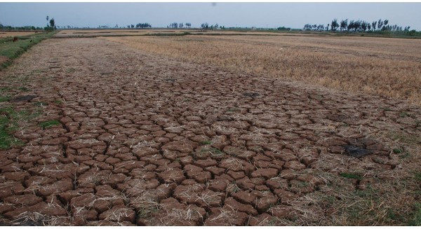 越南努力应对严重干旱 ảnh 2