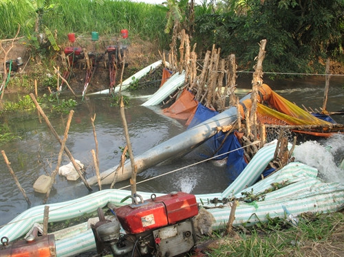 越南九龙江三角洲多地遭旱灾和海水入侵 金瓯省陷入一级干旱 ảnh 3 越南九龙江三角洲多地遭旱灾和海水入侵 金瓯省陷入一级干旱 ảnh 3