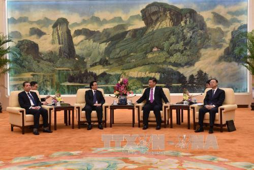 中共中央总书记、中国国家主席习近平会见越共中央总书记阮富仲特使 ảnh 3 中共中央总书记、中国国家主席习近平会见越共中央总书记阮富仲特使 ảnh 3