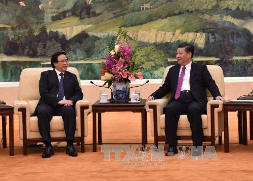 中共中央总书记、中国国家主席习近平会见越共中央总书记阮富仲特使 ảnh 2 中共中央总书记、中国国家主席习近平会见越共中央总书记阮富仲特使 ảnh 2