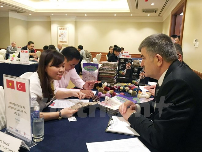 2016年越南与土耳其双边贸易额有望达30亿美元 ảnh 1