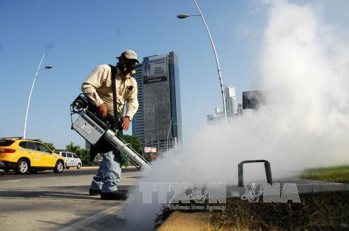 菲律宾寨卡病例增加 ảnh 1 菲律宾寨卡病例增加 ảnh 1