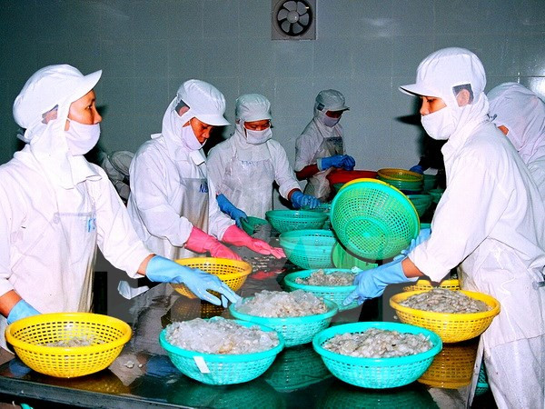 《越南和亚欧经济联盟自由贸易协定》:机遇与挑战 ảnh 1  《越南和亚欧经济联盟自由贸易协定》:机遇与挑战 ảnh 1