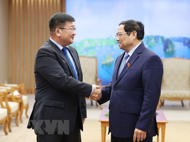越南政府总理范明政会见埃及驻越南大使和蒙古国驻越南大使 ảnh 2 越南政府总理范明政会见埃及驻越南大使和蒙古国驻越南大使 ảnh 2