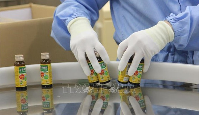 越南药材对日本市场出口潜力巨大 ảnh 1 越南药材对日本市场出口潜力巨大 ảnh 1