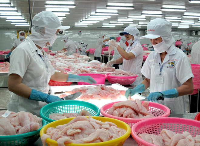 企业界是安江省经济发展的核心 ảnh 1 企业界是安江省经济发展的核心 ảnh 1