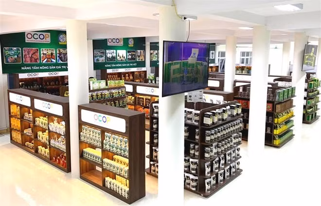 利用《一乡一品》 向消费者推介优质产品 ảnh 1