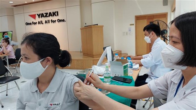 越南6月12日报告新增新冠肺炎确诊病例568例 新增治愈病例5274例 ảnh 1 越南6月12日报告新增新冠肺炎确诊病例568例 新增治愈病例5274例 ảnh 1