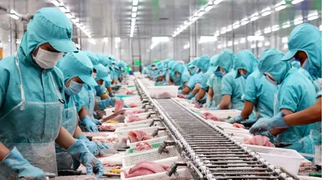 《越南与欧盟自由贸易协定》：提升越南水产品进入欧盟市场的弹性 ảnh 1