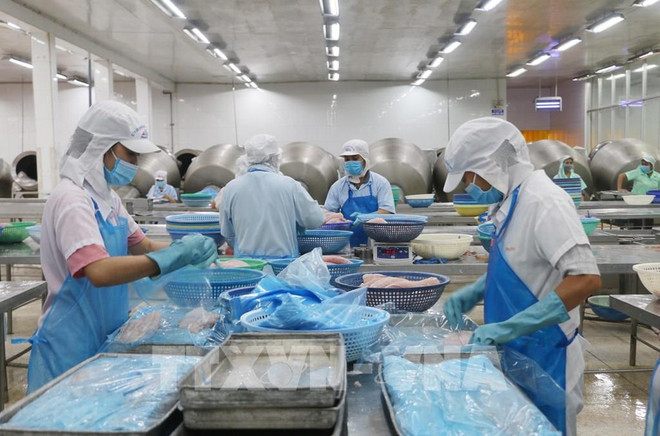 安江省力争实现到2025年出口额达近53亿美元的目标 ảnh 1 安江省力争实现到2025年出口额达近53亿美元的目标 ảnh 1