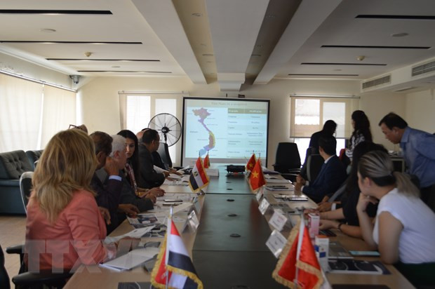 埃及企业十分青睐越南商品 ảnh 1