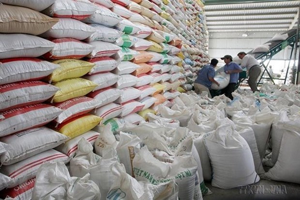越南加大对非洲市场的食品出口力度 ảnh 1 越南加大对非洲市场的食品出口力度 ảnh 1