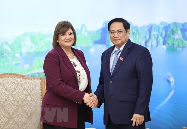 越南政府总理范明政会见埃及驻越南大使和蒙古国驻越南大使 ảnh 1 越南政府总理范明政会见埃及驻越南大使和蒙古国驻越南大使 ảnh 1