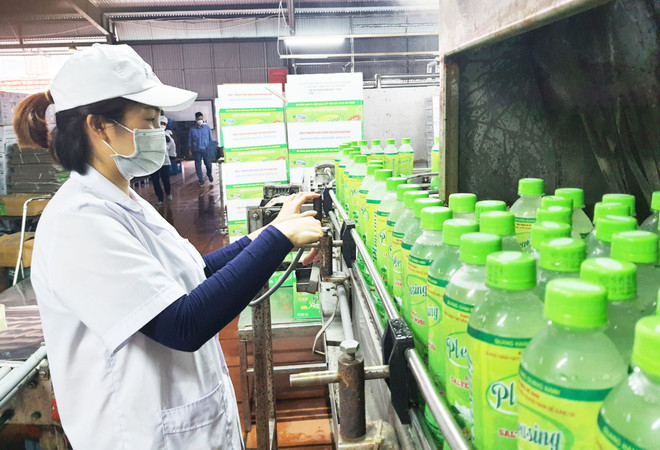 广宁省加强产业帮扶 助推生产经营提质增效 ảnh 1 广宁省加强产业帮扶 助推生产经营提质增效 ảnh 1