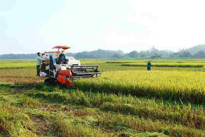富寿省多措并举促进经济的增长 ảnh 2 富寿省多措并举促进经济的增长 ảnh 2